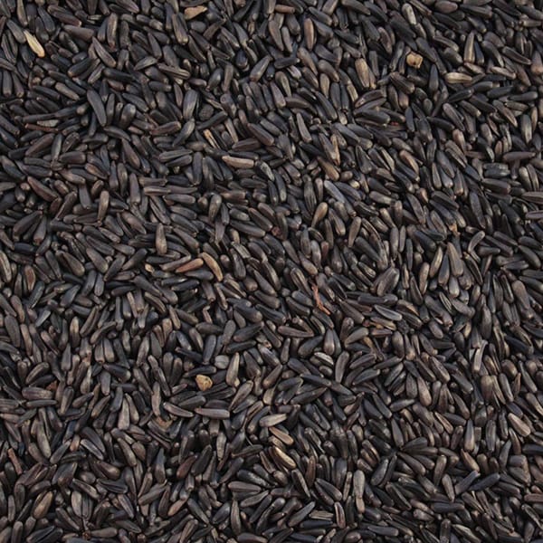 Niger Seed (25kg)