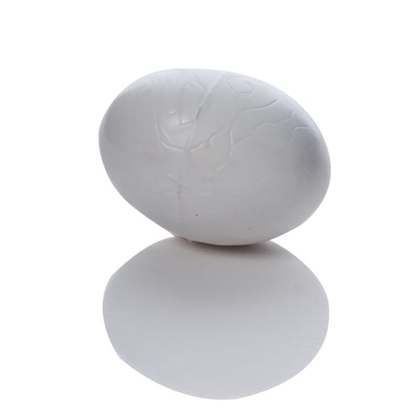 Plastic Eggs (10 Pack)