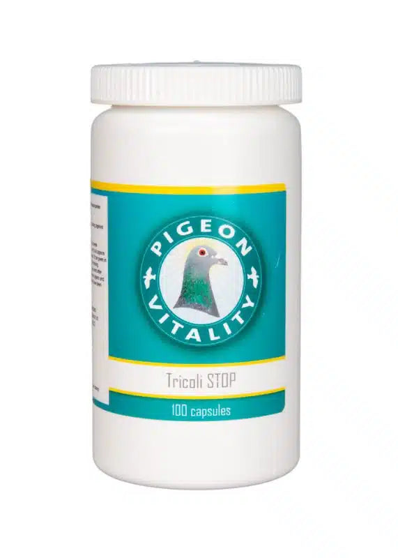 Pigeon Vitaliy Tri Coli Stop - Tabs