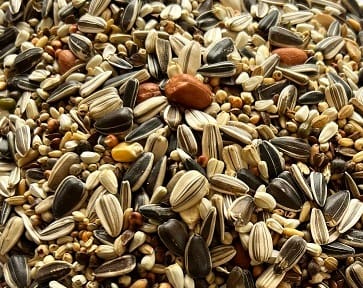 BJF Parrot Mix (15kg)