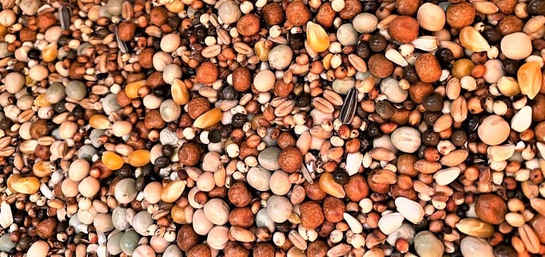 BJF Young Bird No49 (25kg)