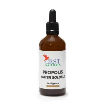 Propolis (100ml)