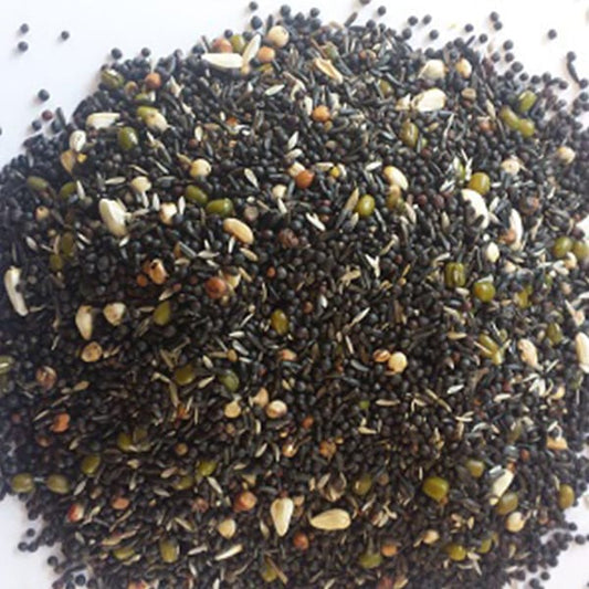 BJF Canary Germination (20kg)