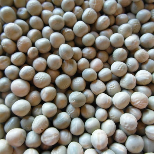 Blue Peas (25kg)