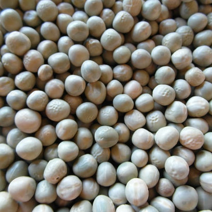 Blue Peas (25kg)