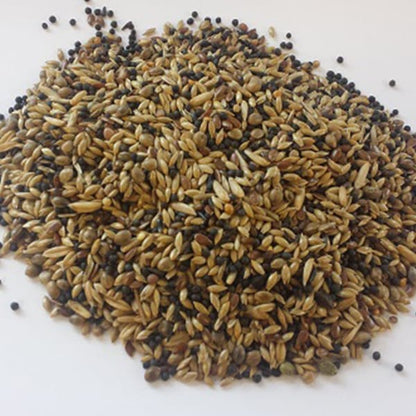 BJF European Finch NO Rape (20kg)