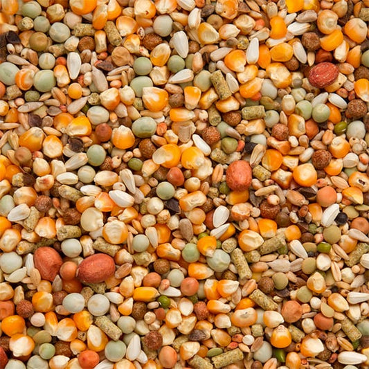 Beyers Koopman all in one (20kg)