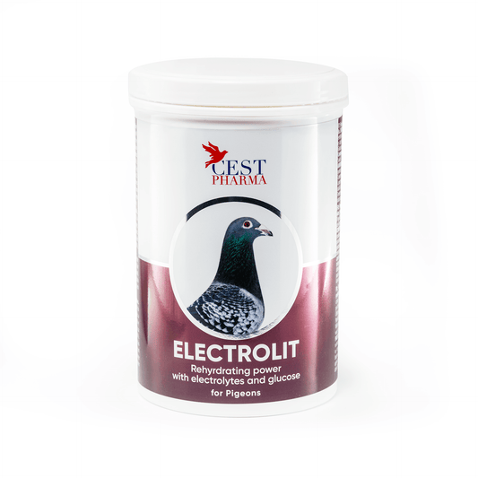 Electrolit 600g