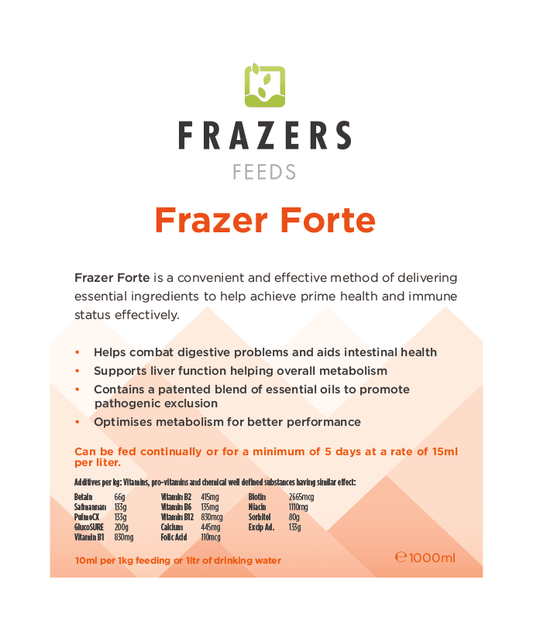 Frazer Forte (1L)