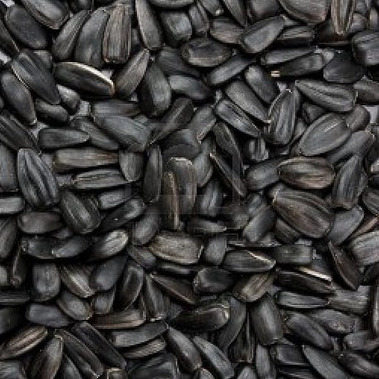 Black Sunflower (20kg)