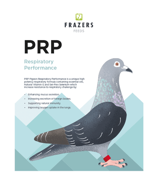 Frazers Pulmo Plus Respitory PRP