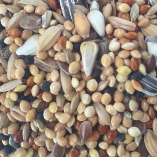 BJF Parakeet/Cockatiel (20kg)