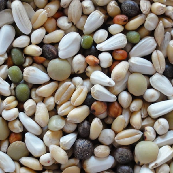 Walzoontjens Yellow (25kg)