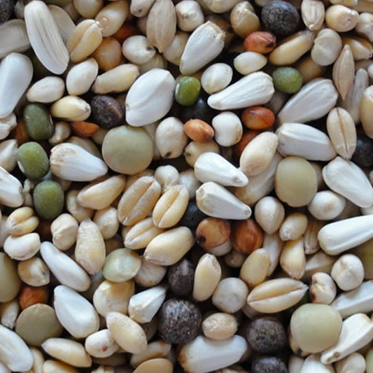 Walzoontjens Yellow (25kg)