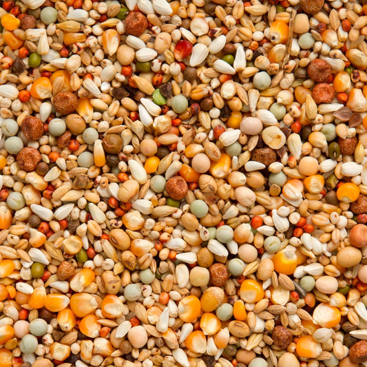 7/43 Enzymix Build up Extra (20kg)