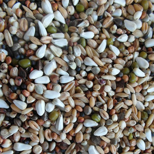 BJF Conditioner (25kg)