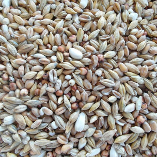 BJF Depurative (25kg)