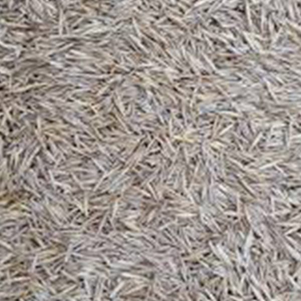 Grass Seed White (10kg)