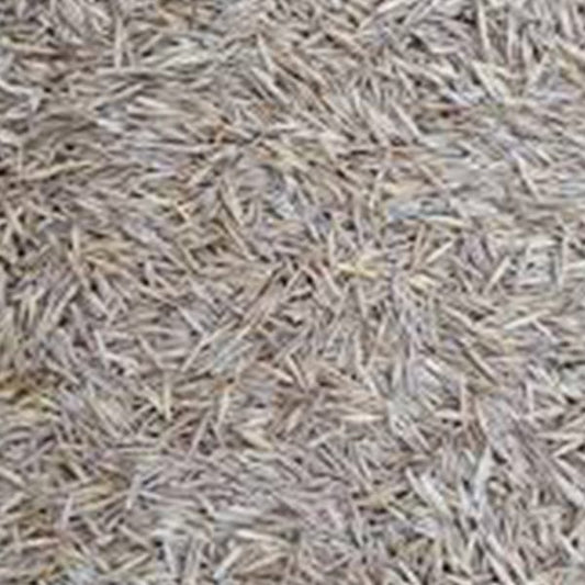 Grass Seed White (10kg)