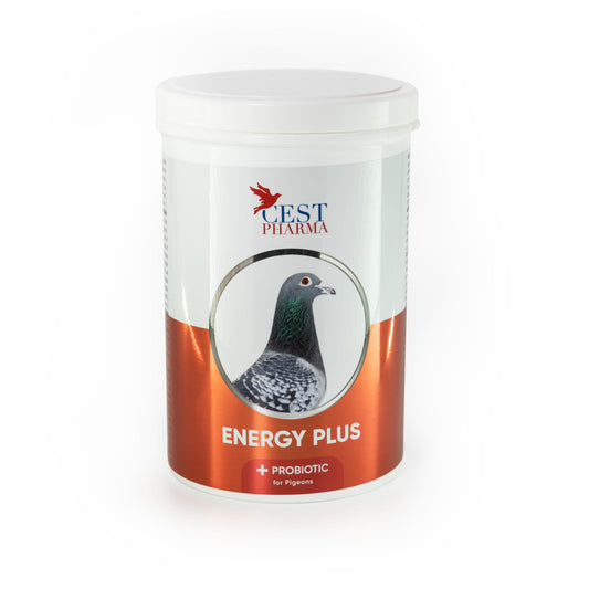 Energy Plus 600gm