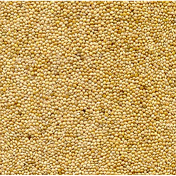 Yellow Millet (Unbranded) (25kg)