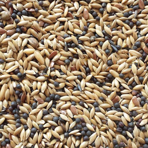 BJF Canary Mix (20kg)