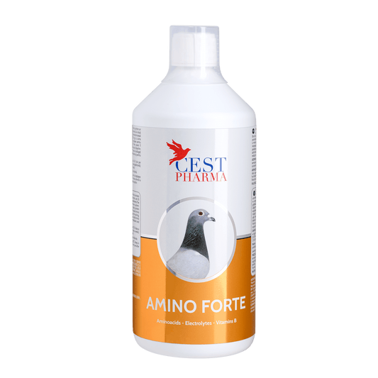 Amino Forte 1L