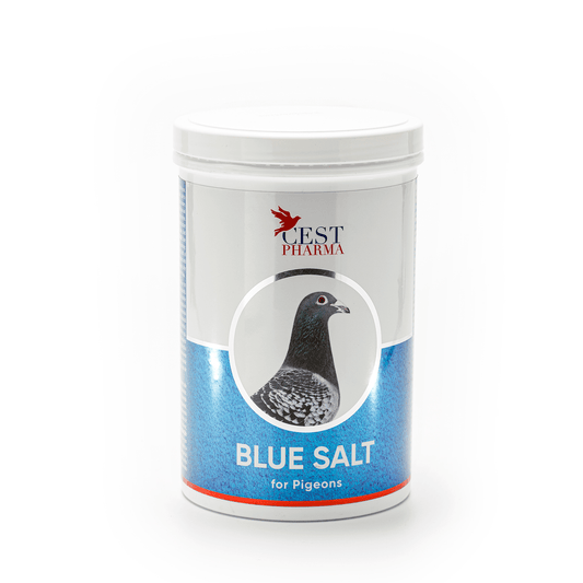 Blue Salt 1000g