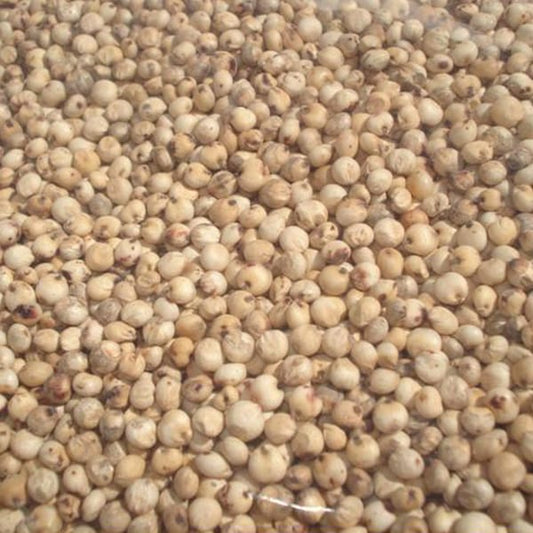 White Dari (25kg)