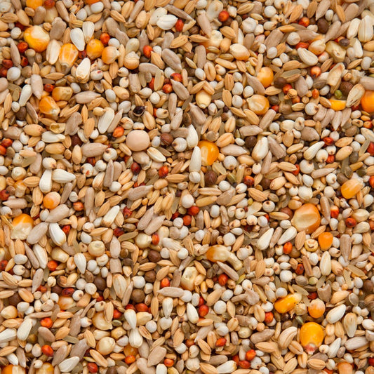 7/47 Enzymix Energy (20kg)