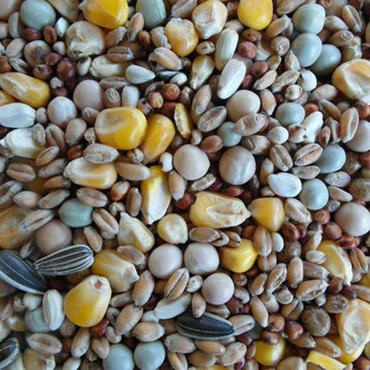 BJF All Seasons (20kg)