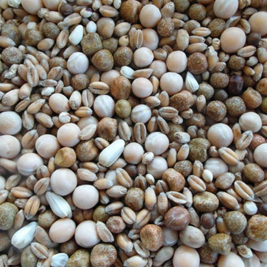 BJF Breeding Leige (25kg)