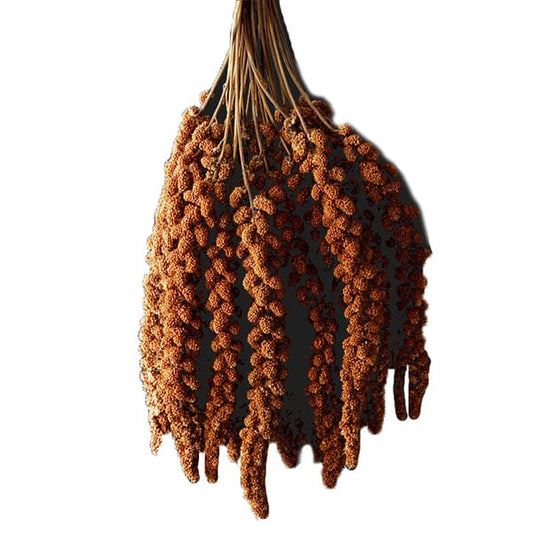 Chinese Red Millet Sprays 15kg