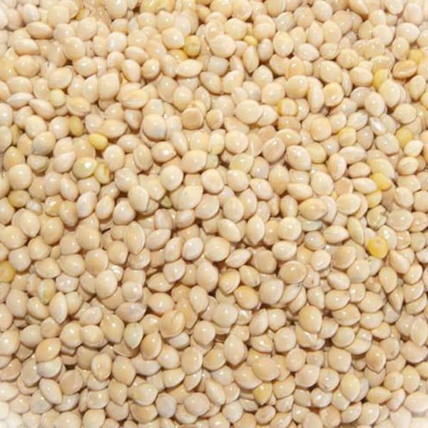 White Millet (V/L) (25kg)