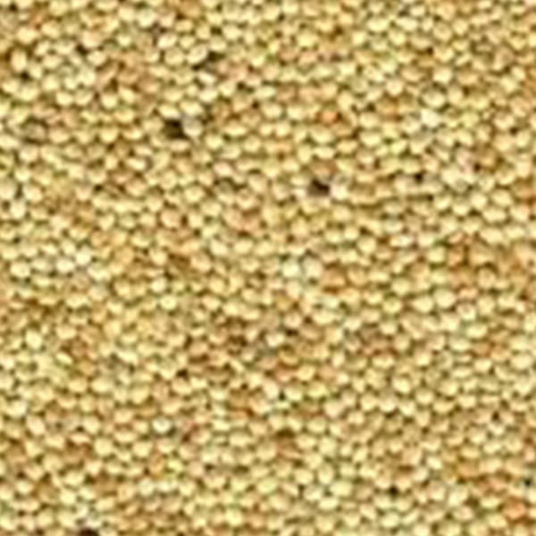 White Millet (Unbranded) (25kg)