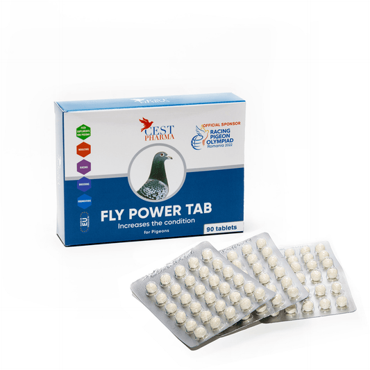 Fly Power Tabs x 90