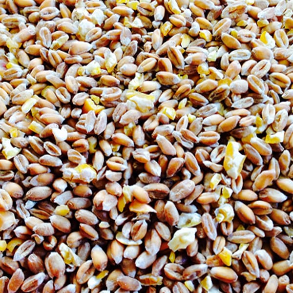 Chicken Mix (25kg)