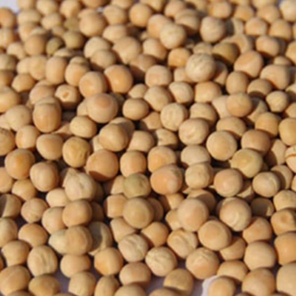 White Peas (25kg)