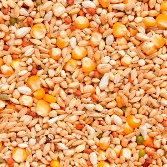 7/48 Enzymix Recup (20kg)