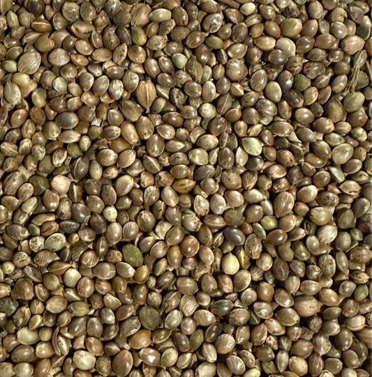 Hemp Large Chinese (25kg)