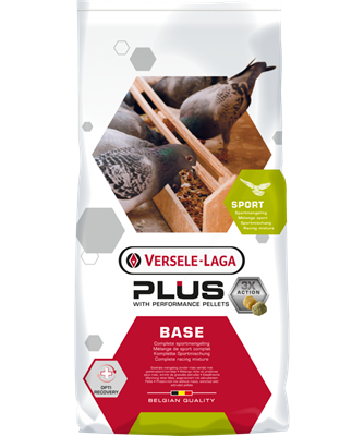 Base Plus (20kg)