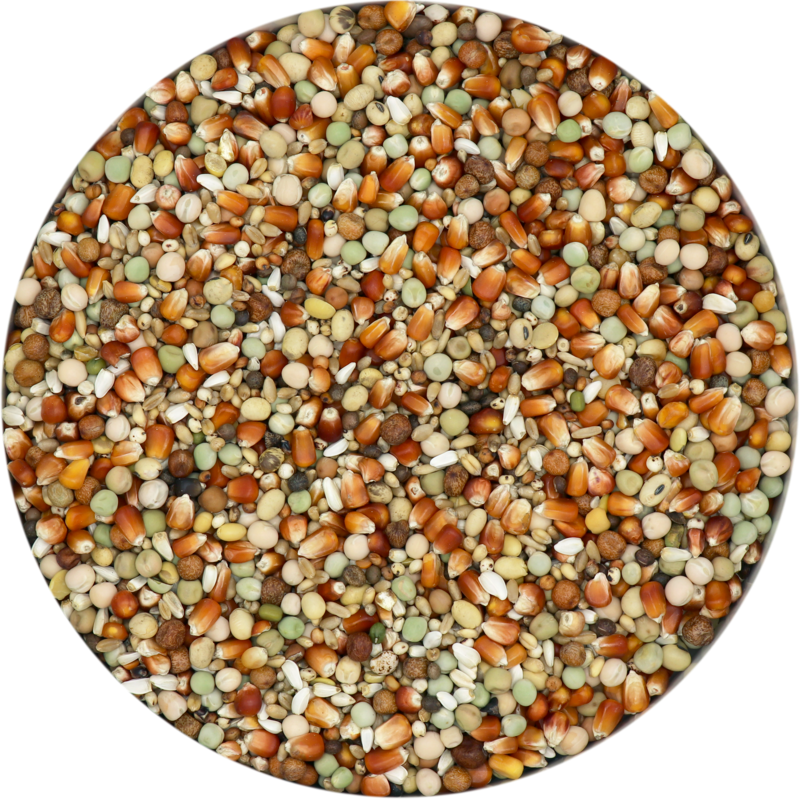 Breeding Extra Subliem (25kg)