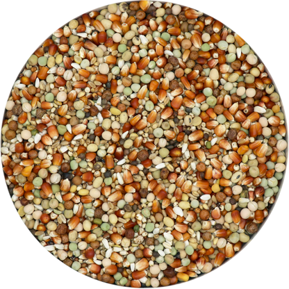 Breeding Extra Subliem (25kg)