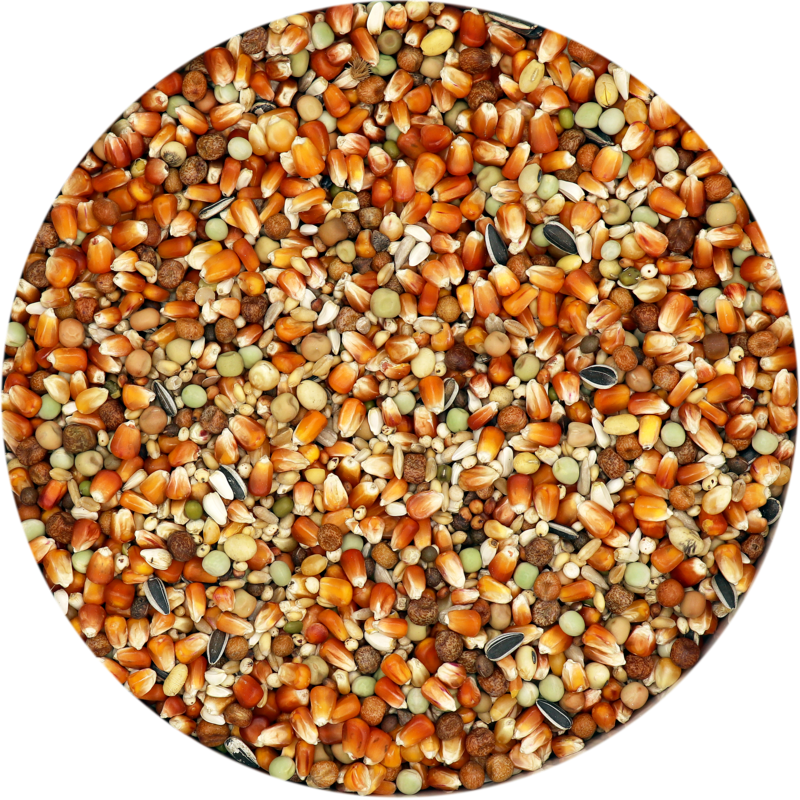 Champion Extra Subliem (25kg)