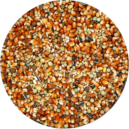 Champion Extra Subliem (25kg)