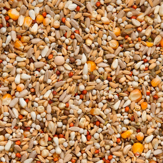 7/47 Enzymix Energy (20kg)