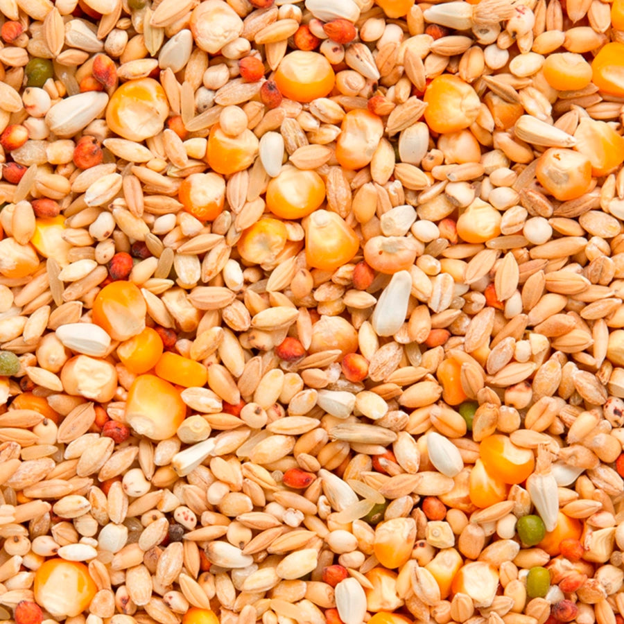 7/48 Enzymix Recup (20kg)
