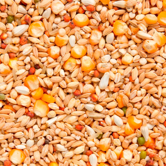 7/48 Enzymix Recup (20kg)