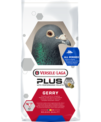 Gerry Plus (20kg)