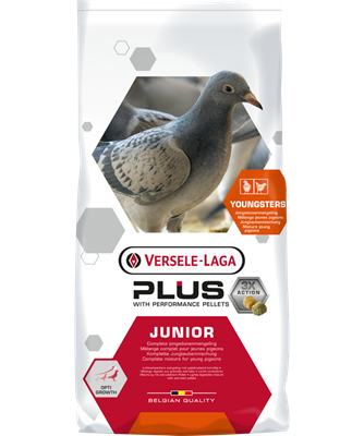 Junior Plus (20kg)